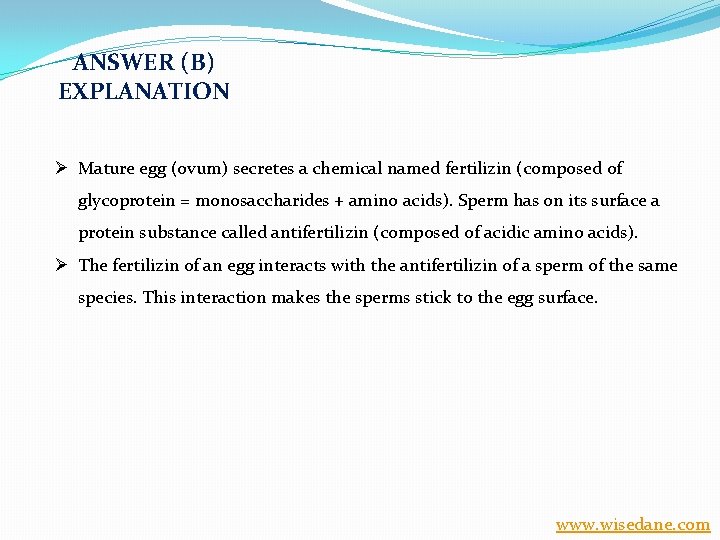 ANSWER (B) EXPLANATION Ø Mature egg (ovum) secretes a chemical named fertilizin (composed of