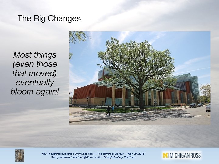 The Big Changes Most things (even those that moved) eventually bloom again! MLA Academic