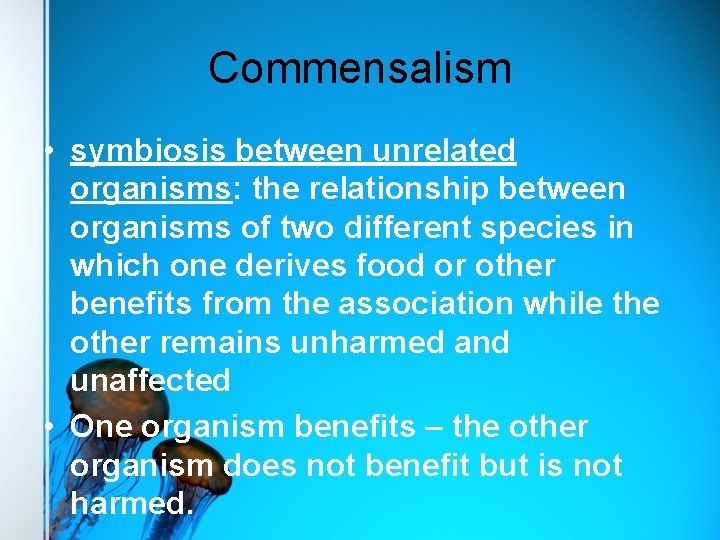 Commensalism • symbiosis between unrelated organisms: the relationship between organisms of two different species