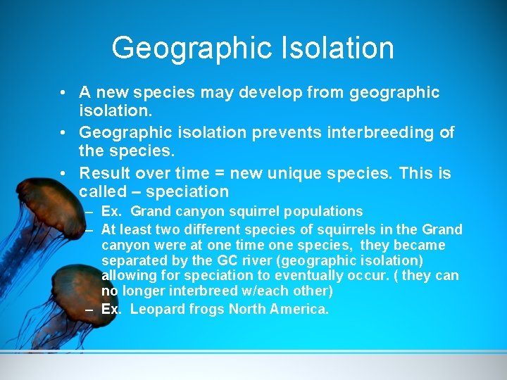 Geographic Isolation • A new species may develop from geographic isolation. • Geographic isolation