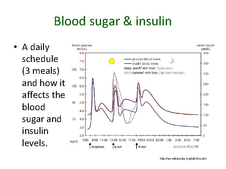 Blood sugar & insulin • A daily schedule (3 meals) and how it affects