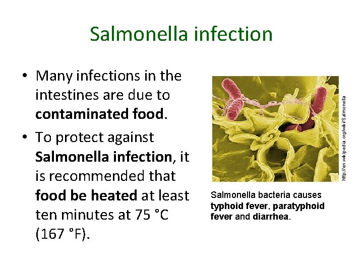  • Many infections in the intestines are due to contaminated food. • To