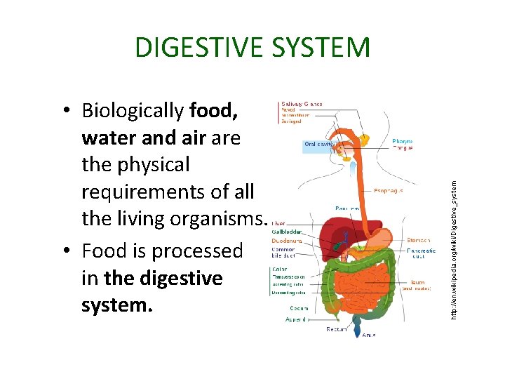  • Biologically food, water and air are the physical requirements of all the
