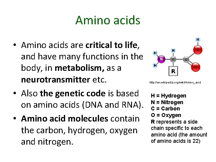 Amino acids • Amino acids are critical to life, and have many functions in