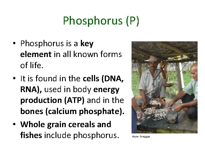 Phosphorus (P) • Phosphorus is a key element in all known forms of life.