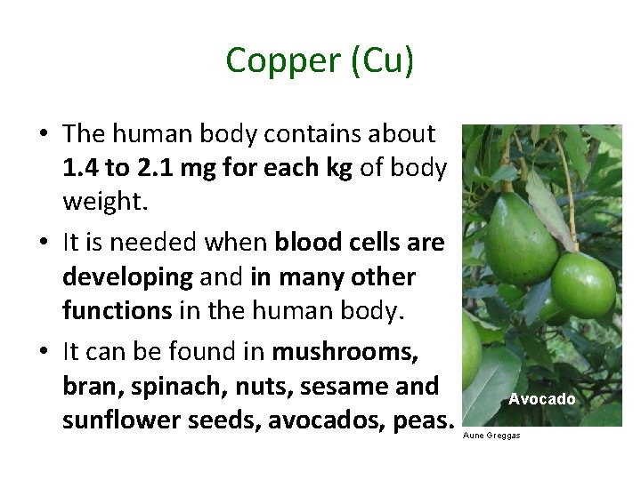 Copper (Cu) • The human body contains about 1. 4 to 2. 1 mg