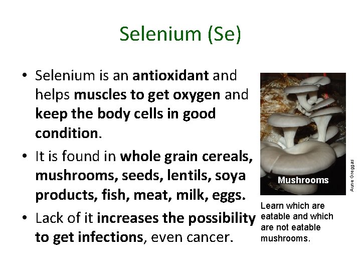  • Selenium is an antioxidant and helps muscles to get oxygen and keep