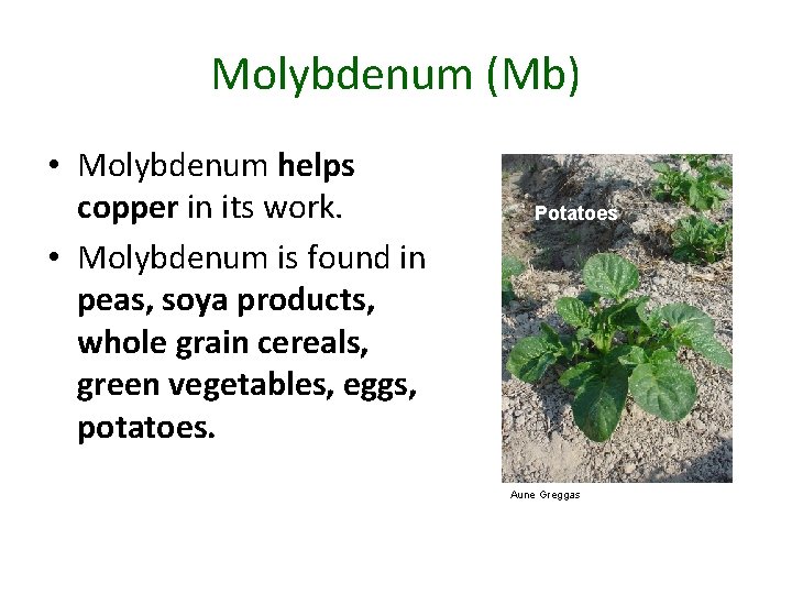 Molybdenum (Mb) • Molybdenum helps copper in its work. • Molybdenum is found in