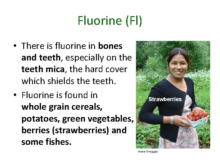 Fluorine (Fl) • There is fluorine in bones and teeth, especially on the teeth