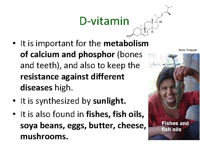 D-vitamin Aune Greggas • It is important for the metabolism of calcium and phosphor