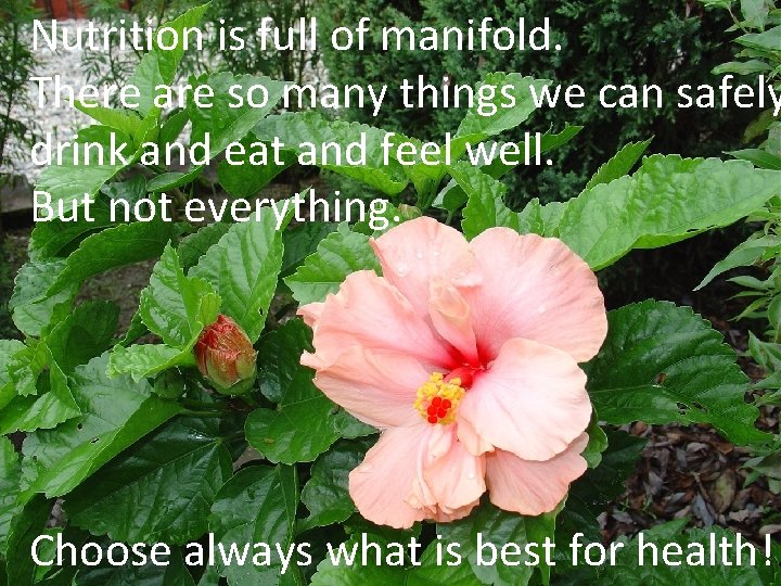 Nutrition is full of manifold. There are so many things we can safely drink