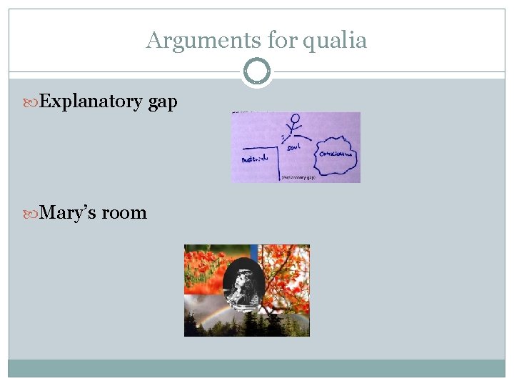 Arguments for qualia Explanatory gap Mary’s room 