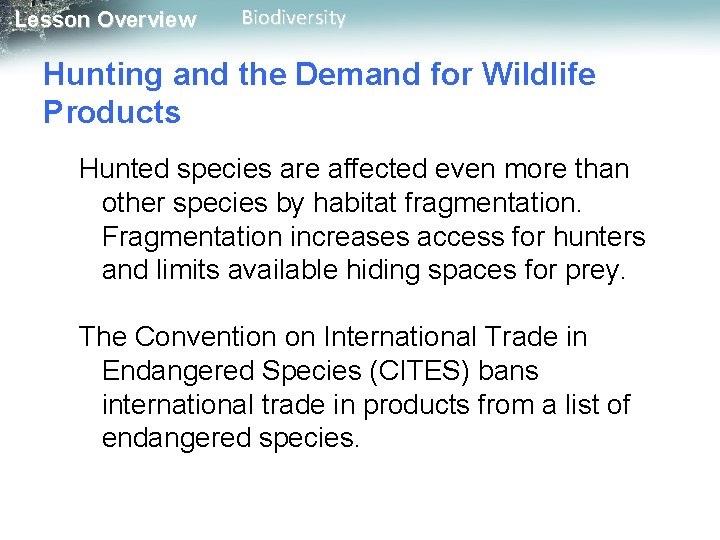 Lesson Overview Biodiversity Hunting and the Demand for Wildlife Products Hunted species are affected