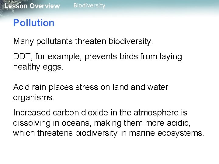Lesson Overview Biodiversity Pollution Many pollutants threaten biodiversity. DDT, for example, prevents birds from