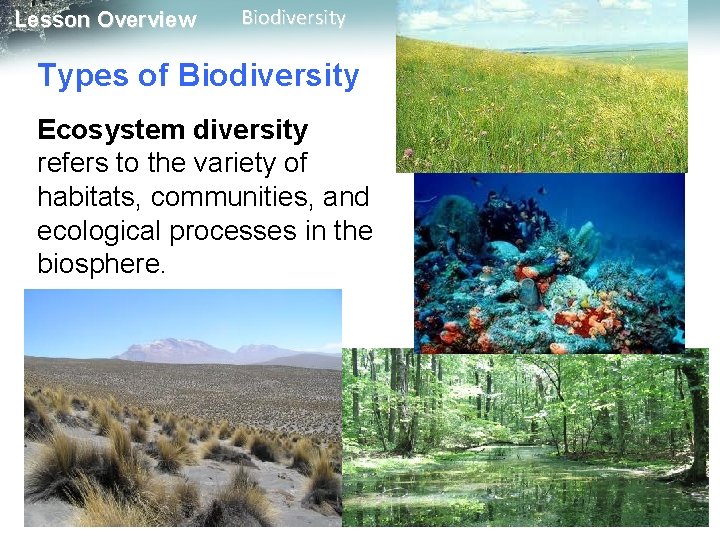 Lesson Overview Biodiversity Types of Biodiversity Ecosystem diversity refers to the variety of habitats,