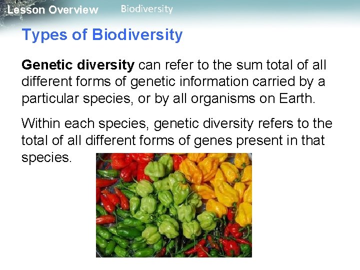 Lesson Overview Biodiversity Types of Biodiversity Genetic diversity can refer to the sum total