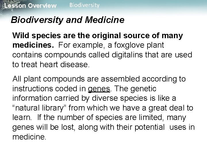 Lesson Overview Biodiversity and Medicine Wild species are the original source of many medicines.