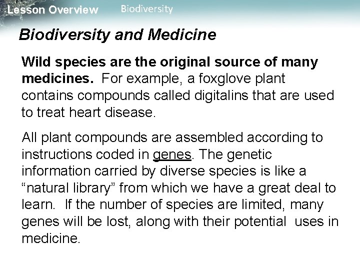 Lesson Overview Biodiversity and Medicine Wild species are the original source of many medicines. Lesson Overview Biodiversity and Medicine Wild species are the original source of many medicines.