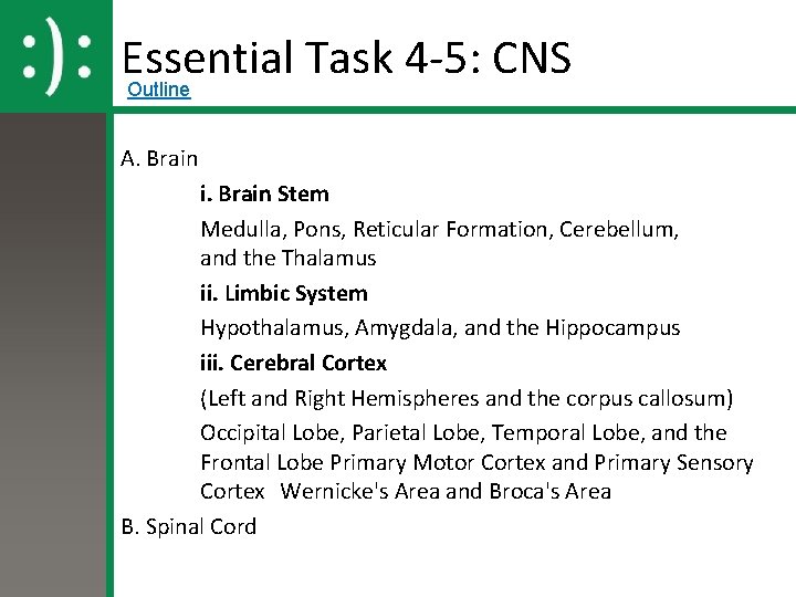 Essential Task 4 -5: CNS Outline A. Brain i. Brain Stem Medulla, Pons, Reticular