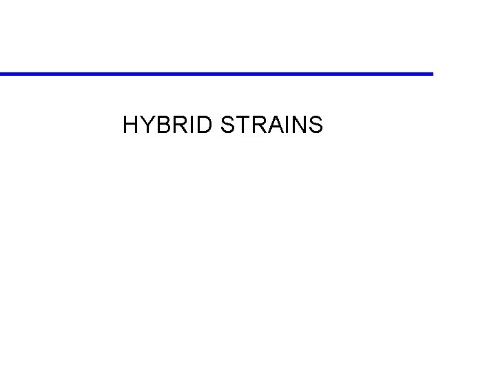 HYBRID STRAINS 