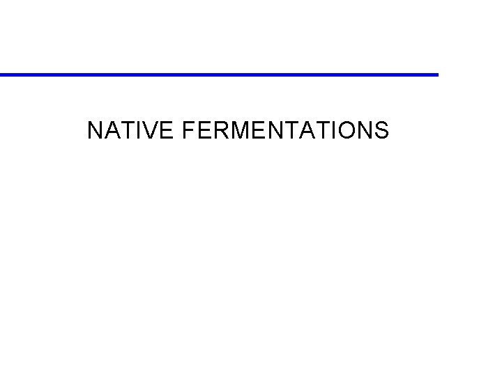 NATIVE FERMENTATIONS 