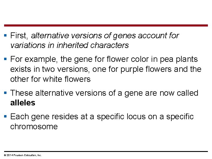 § First, alternative versions of genes account for variations in inherited characters § For