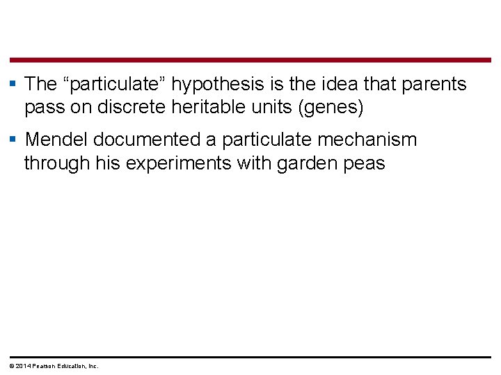 § The “particulate” hypothesis is the idea that parents pass on discrete heritable units
