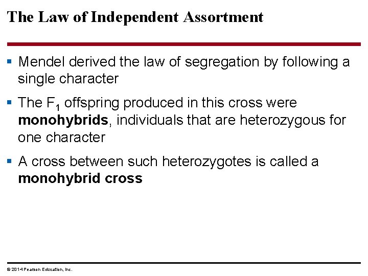 The Law of Independent Assortment § Mendel derived the law of segregation by following