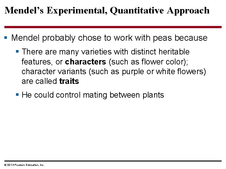 Mendel’s Experimental, Quantitative Approach § Mendel probably chose to work with peas because §