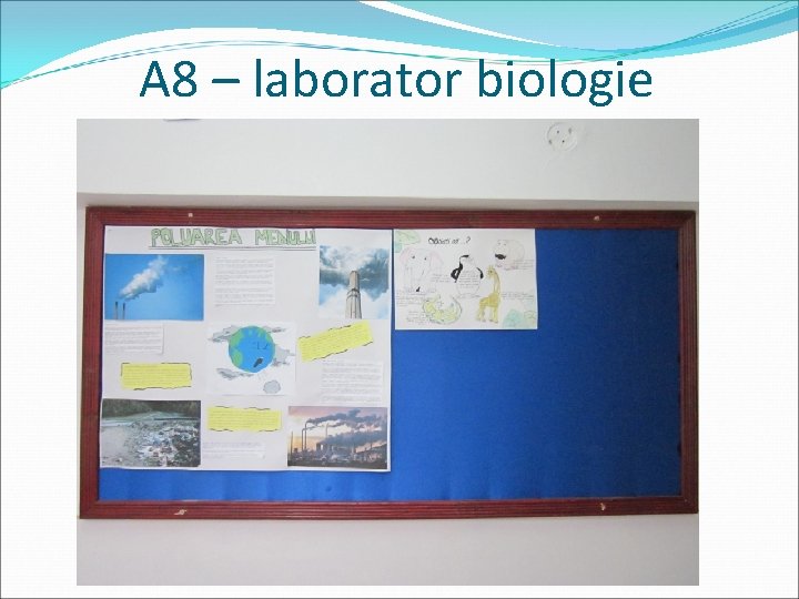 A 8 – laborator biologie 