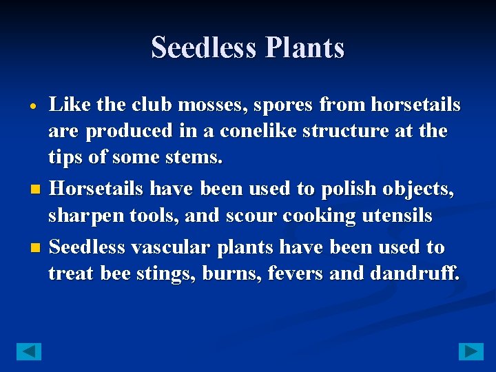 Seedless Plants Like the club mosses, spores from horsetails are produced in a conelike