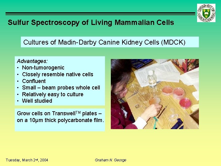 Sulfur Spectroscopy of Living Mammalian Cells Cultures of Madin-Darby Canine Kidney Cells (MDCK) Advantages: