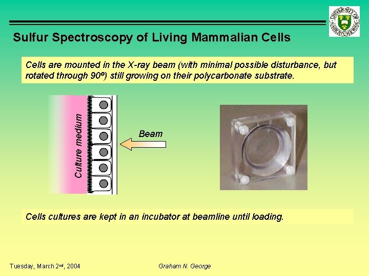 Sulfur Spectroscopy of Living Mammalian Cells Culture medium Cells are mounted in the X-ray