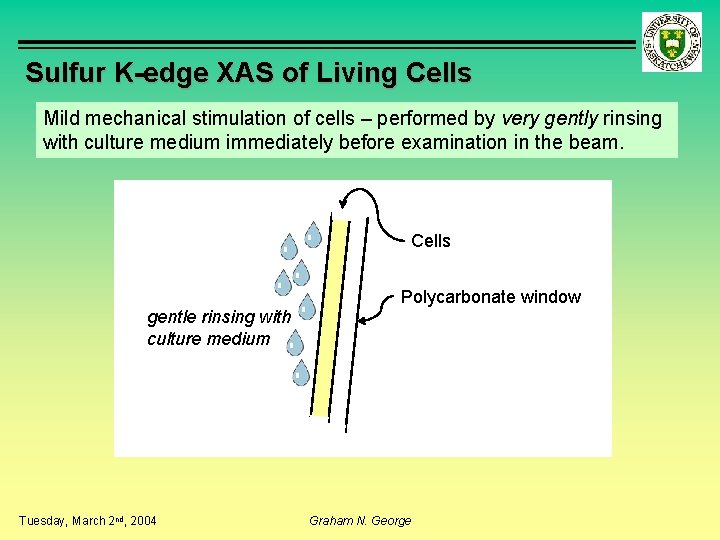 Sulfur K-edge XAS of Living Cells Mild mechanical stimulation of cells – performed by