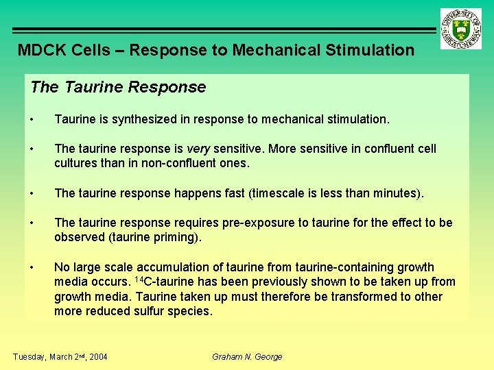 MDCK Cells – Response to Mechanical Stimulation The Taurine Response • Taurine is synthesized