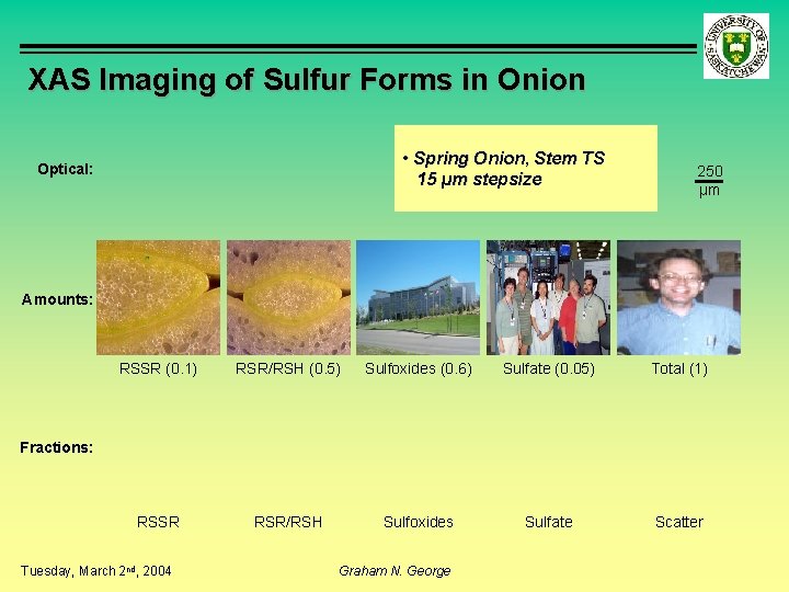 XAS Imaging of Sulfur Forms in Onion • Spring Onion, Stem TS 15 µm