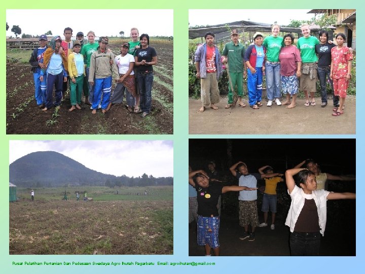 Pusat Pelatihan Pertanian Dan Pedesaan Swadaya Agro Ihutah Pagarbatu Email: agroihutan@gmail. com 