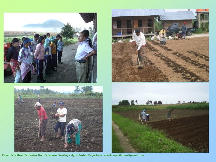 Pusat Pelatihan Pertanian Dan Pedesaan Swadaya Agro Ihutan Pagarbatu email: agroihutan@gmail. com 