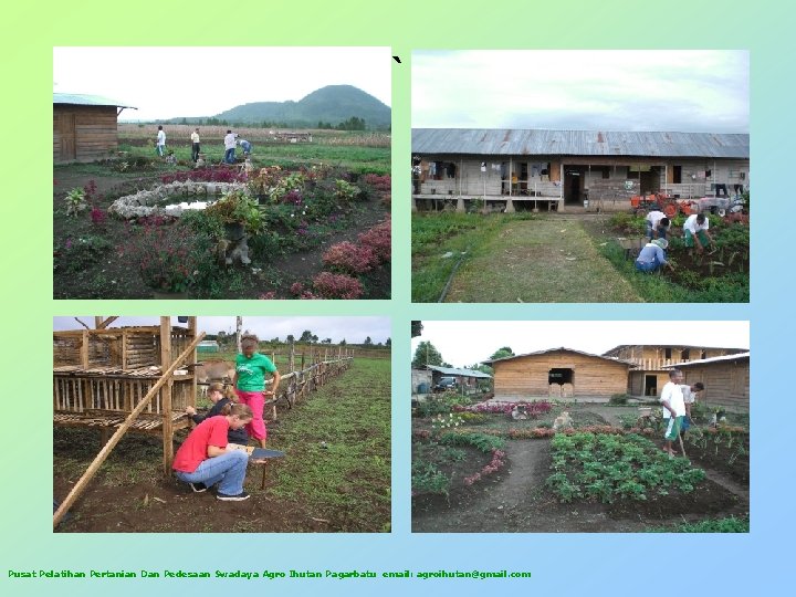 ` Pusat Pelatihan Pertanian Dan Pedesaan Swadaya Agro Ihutan Pagarbatu email: agroihutan@gmail. com 