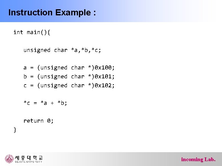 Instruction Example : int main(){ unsigned char *a, *b, *c; a = (unsigned char