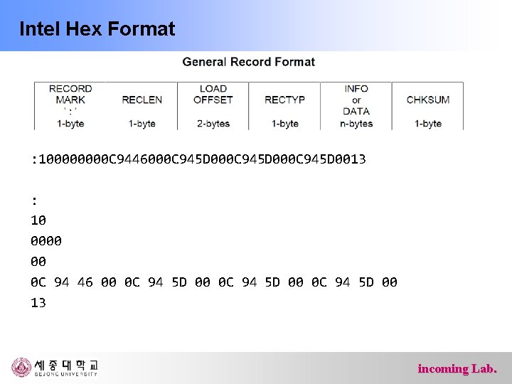 Intel Hex Format : 10000 C 9446000 C 945 D 0013 : 10 0000