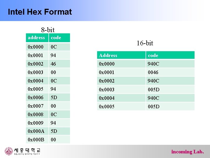 Intel Hex Format 8 -bit address code 0 x 0000 0 C 0 x