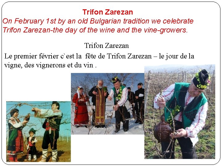 Trifon Zarezan On February 1 st by an old Bulgarian tradition we celebrate Trifon