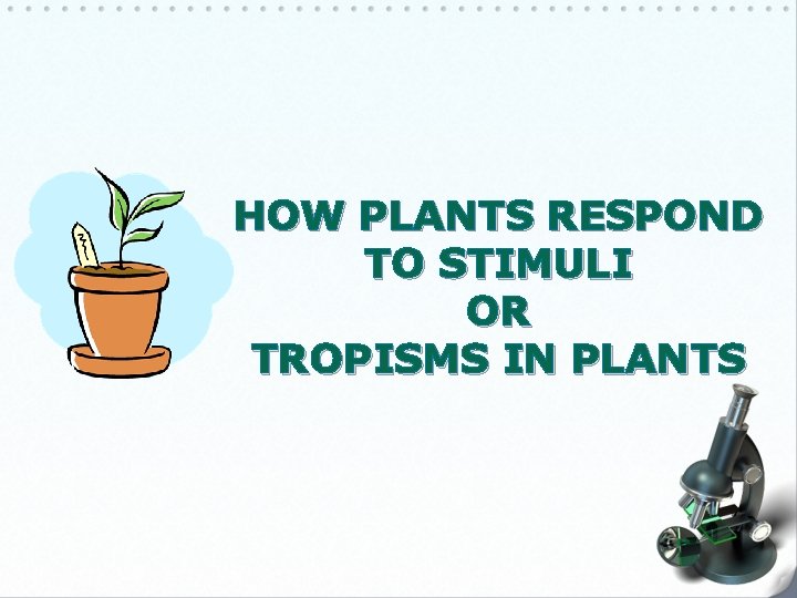 HOW PLANTS RESPOND TO STIMULI OR TROPISMS IN PLANTS 