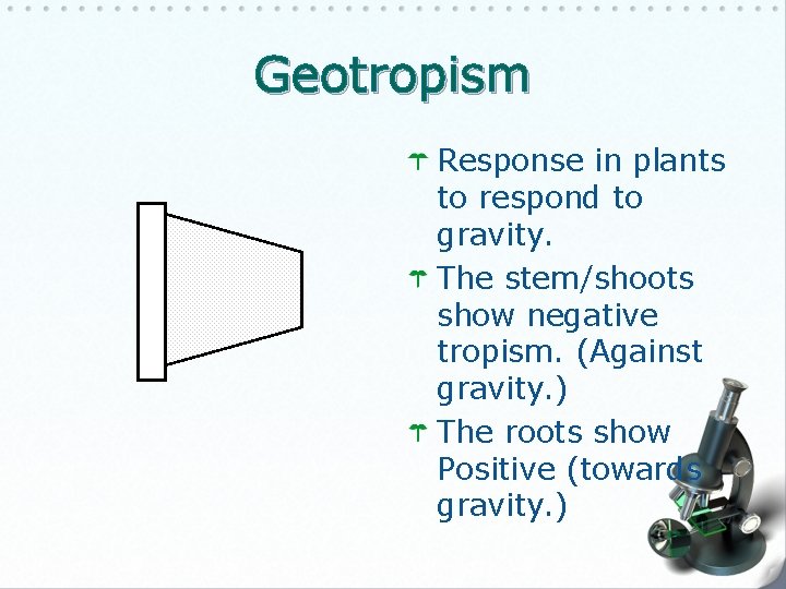 Geotropism Response in plants to respond to gravity. The stem/shoots show negative tropism. (Against