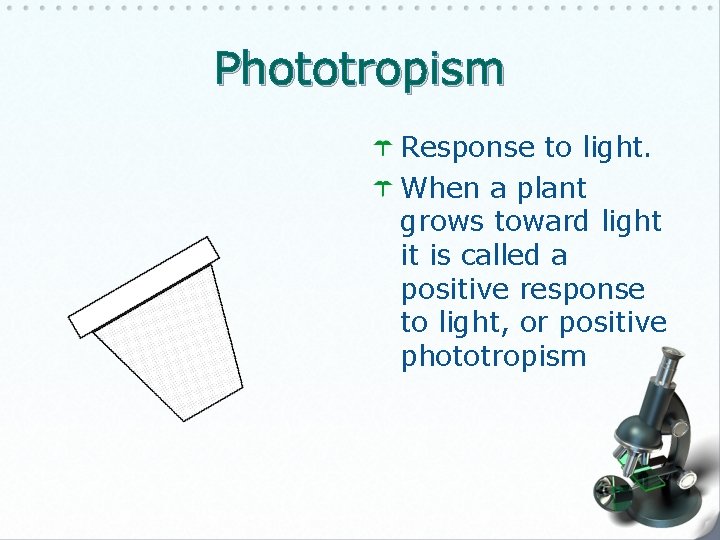 Phototropism Response to light. When a plant grows toward light it is called a