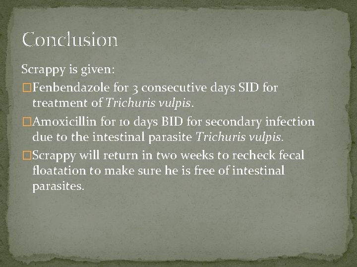 Conclusion Scrappy is given: �Fenbendazole for 3 consecutive days SID for treatment of Trichuris