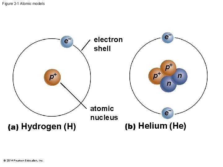 Figure 2 -1 Atomic models e electron shell p p atomic nucleus Hydrogen (H)