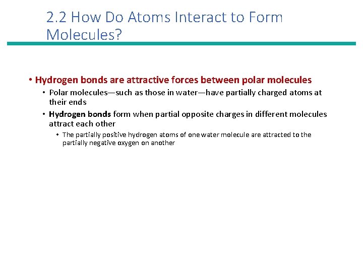 2. 2 How Do Atoms Interact to Form Molecules? • Hydrogen bonds are attractive