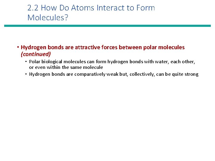 2. 2 How Do Atoms Interact to Form Molecules? • Hydrogen bonds are attractive
